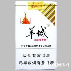 猫咪站立看窗外烟花